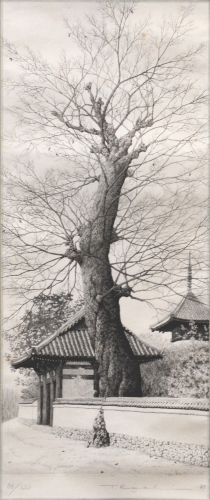 Anao-ji Temple No. 1 -- SCROLL