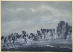 Untitled (Trees on a slope)
