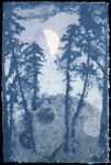 Spring Moon in Muir Woods #1 -- sold
