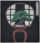 Pine Bonsai (Ex Libris)