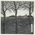 Lavender Field (Ex Libris)