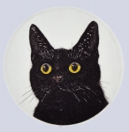 Black Cat - 9 (B)