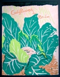 Cauliflower in Rain - Green Gulch Seed Cat. - sold