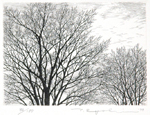 Winter Trees - sold