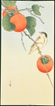 Bird and Persimmons
