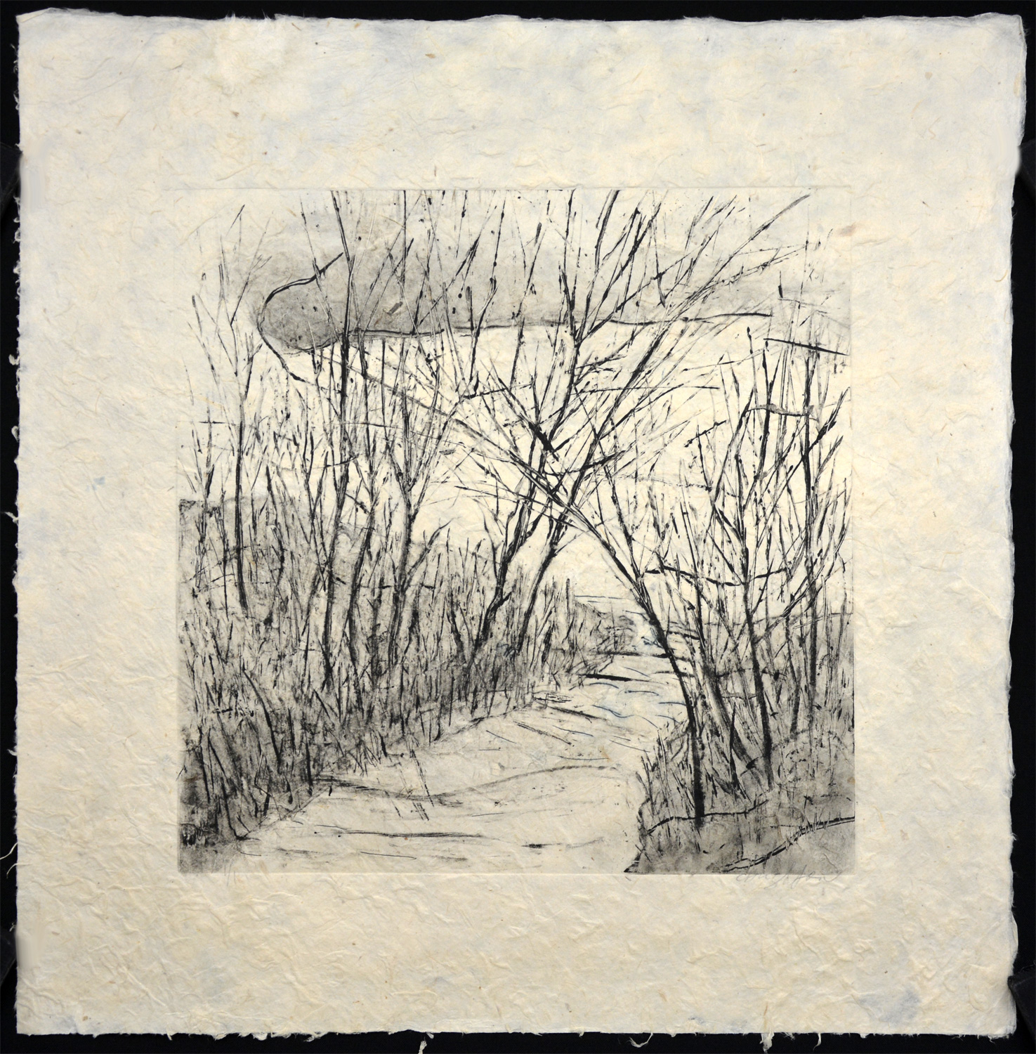 Through the Thicket #1 - Image 2