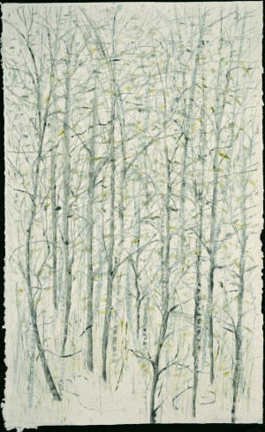 Walks With My Sister #6