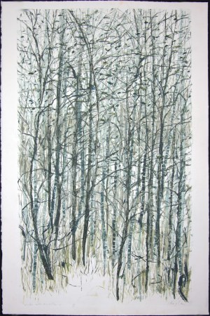 Walks With My Sister #5