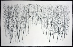 Walks with My Sister Winter