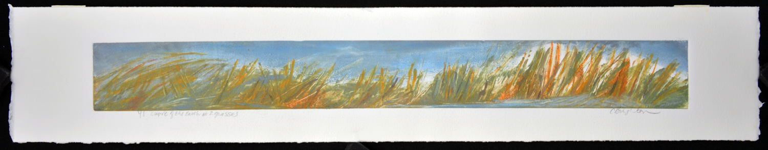Curve of the Earth #2 grasses - Image 2