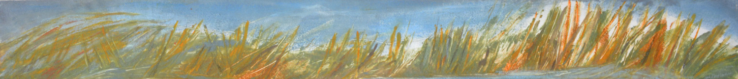 Curve of the Earth #2 grasses