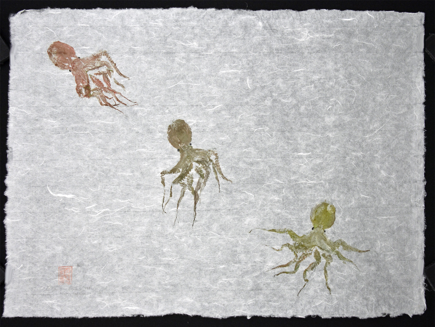 Octopi (3)