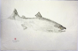 Silver Salmon