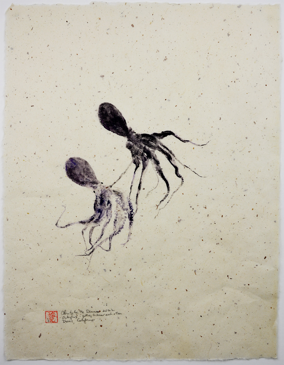 Octopus Pair -- Getting to Know Each Other