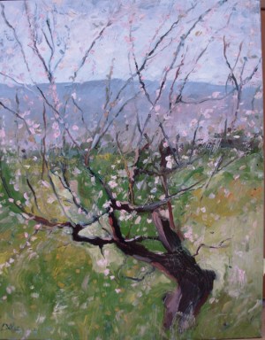 Apple Tree