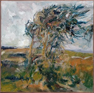 Early Evening