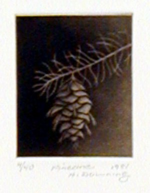 Pinecone