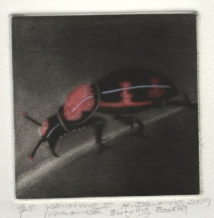Vanishing I - American Burying Beetle
