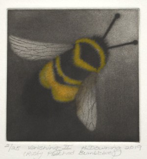 Vanishing II - Rusty Patched Bumblebee