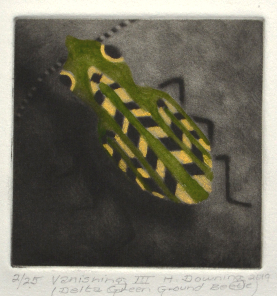 Vanishing III - Delta Green Ground Beetle