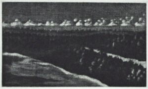 Audience