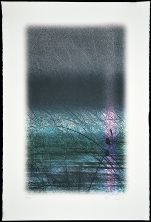 Space & Space Nature - 0707