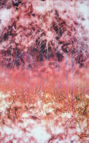 Space & Space Nature - 0801