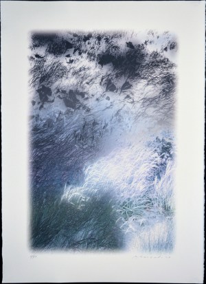 Space & Space Nature - 1316