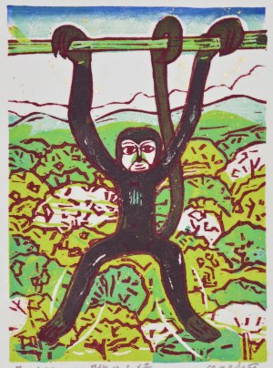 Monkey Watching in a Distance