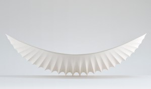 Shell Series Object #1229 - Large