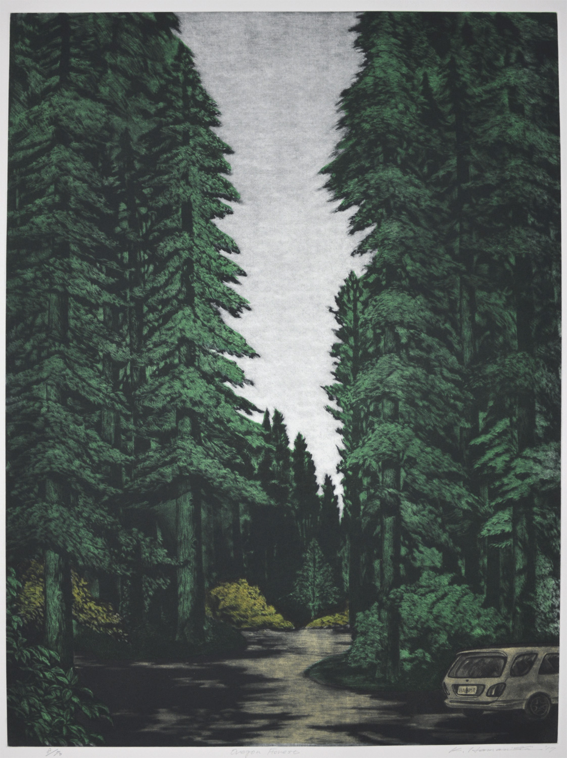 Oregon Forest