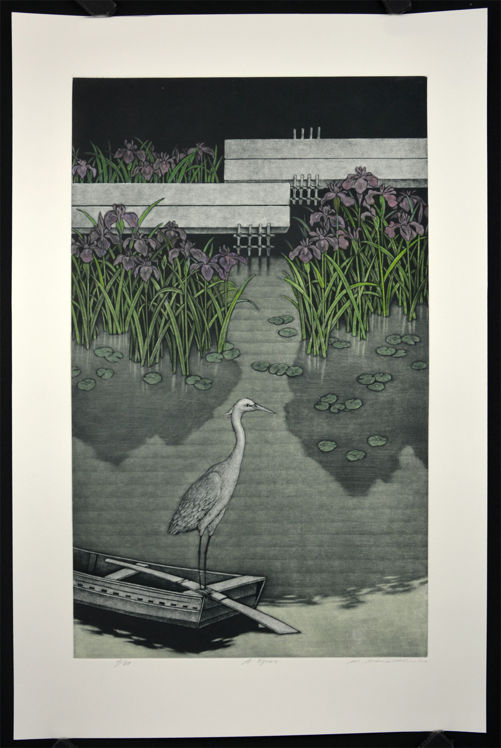 A Egret - Image 2