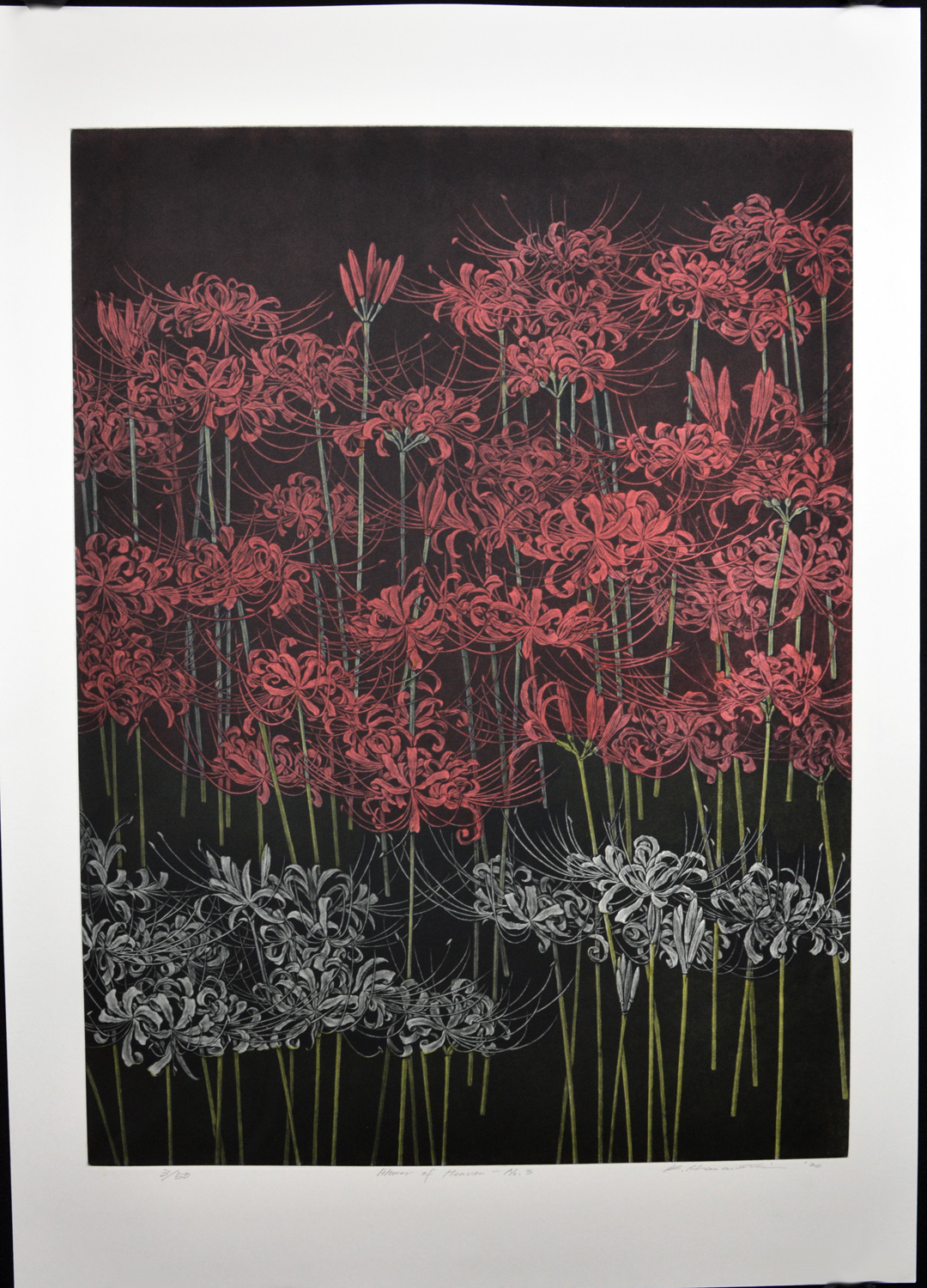 Flower of Heaven – No. 3 – The Ren Brown Collection Gallery