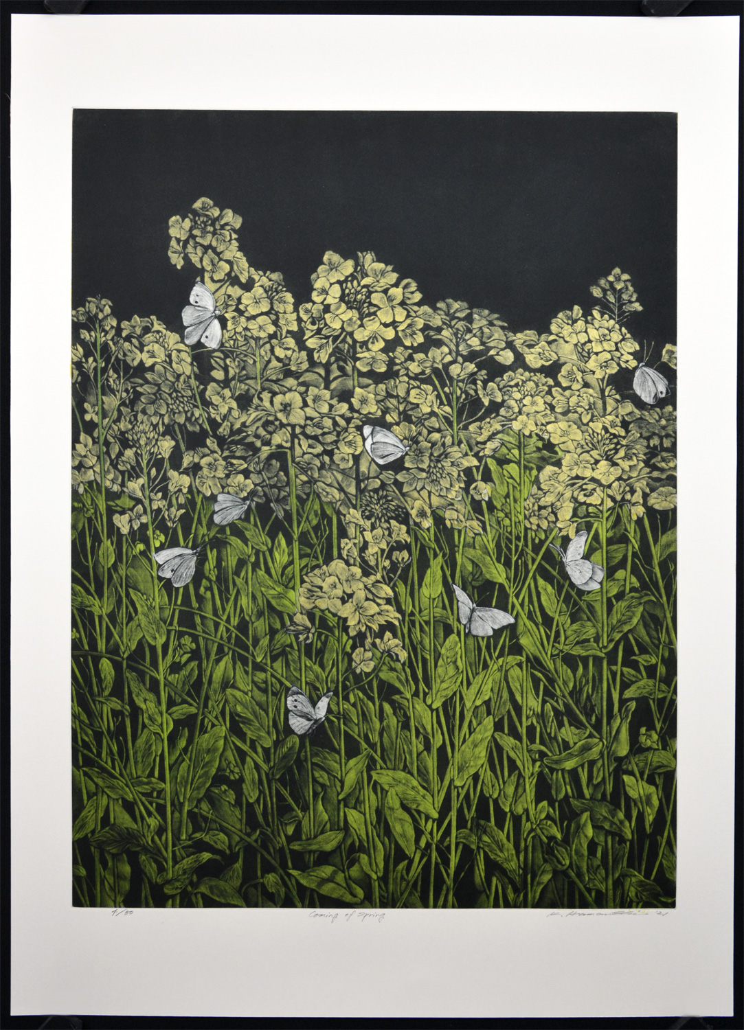 Coming of Spring - Image 2