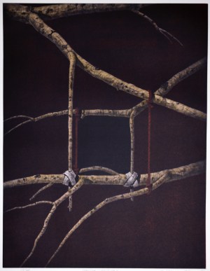 Crevice - Work No. 6