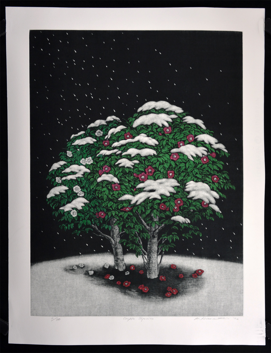 Couple Japonica - Image 2