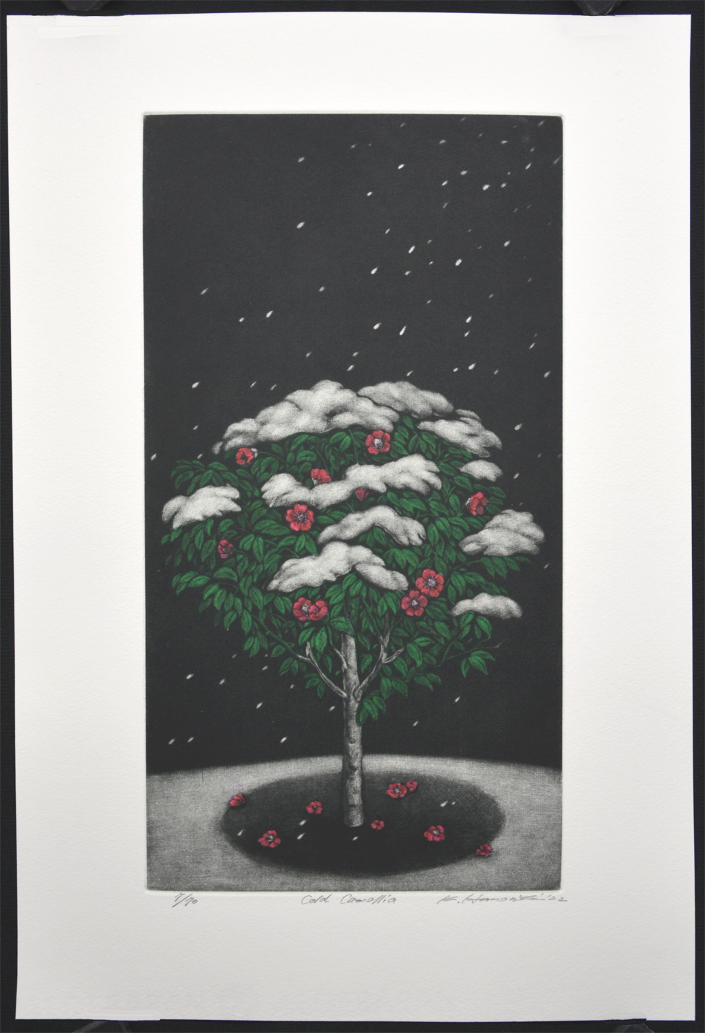 Cold Camellia - Image 2