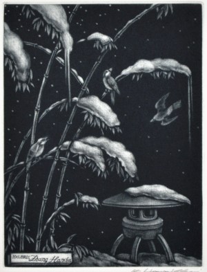 Snow Sound (Ex Libris)