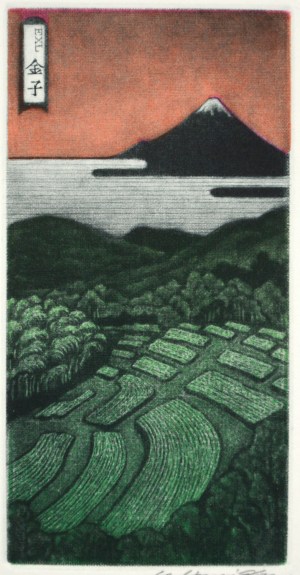 White Cloud (Ex Libris)