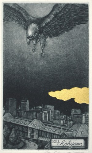 Look Down (Ex Libris)