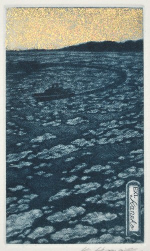 Drift Ice (Ex Libris)