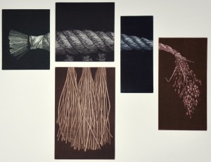 Division - T (Shrimp)