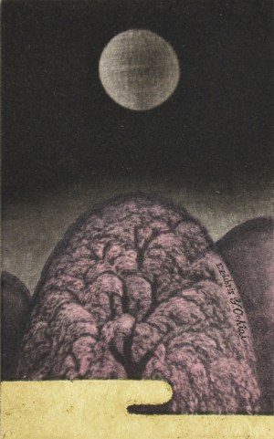 Drooping Cherry Tree #80 (Ex Libris)