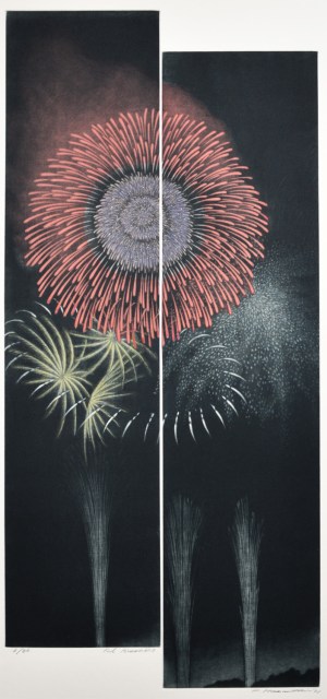 Red Fireworks