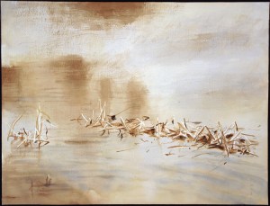 Water, Wind and Grasses