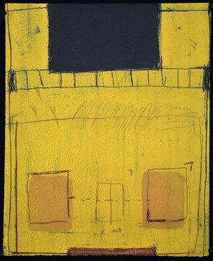 The Way to Identify Trees from Afar