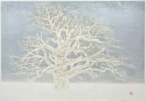 Winter Tree 1977