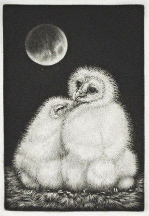 Muku Muku (plump) 2018