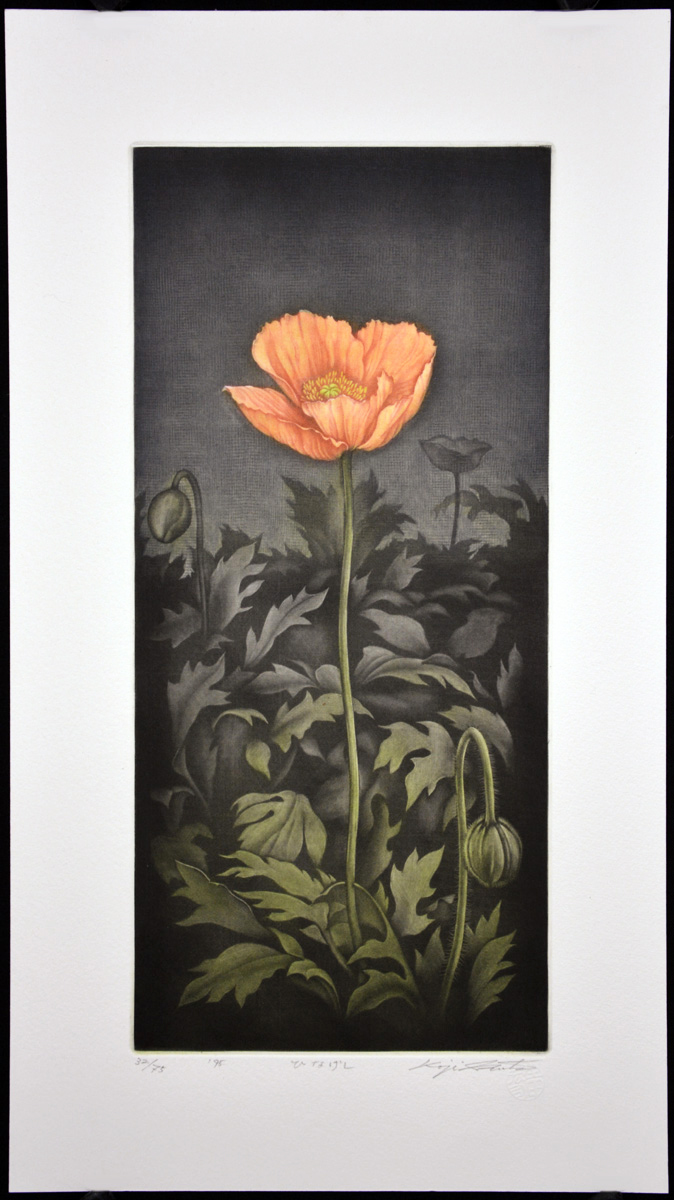 Poppy 1995