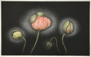 Poppy 2002